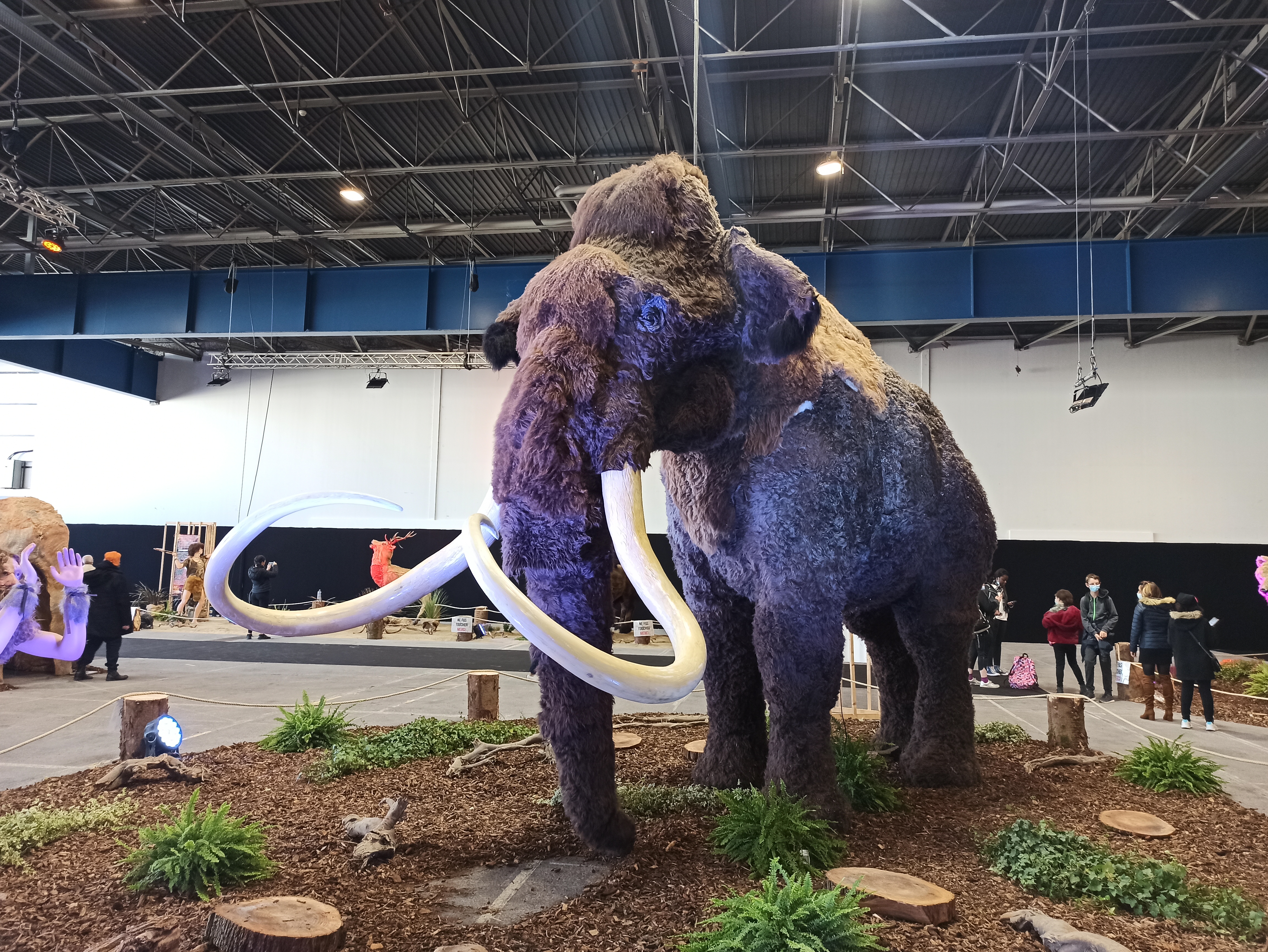 1635519198912.jpg (6.70 MB)