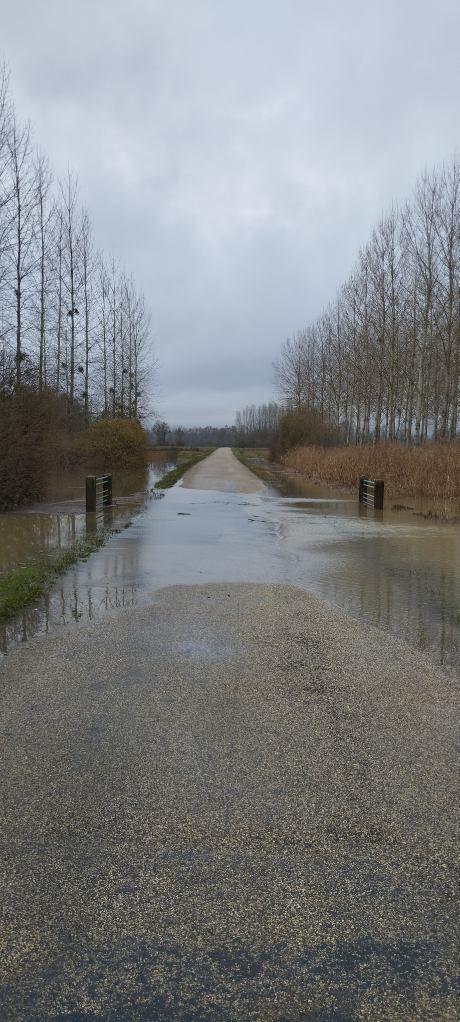 PHOTO-2023-12-02-11-21-51 (1).jpg (90 KB)