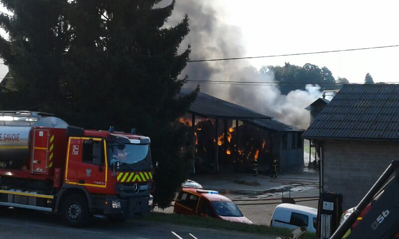 Resized_20210930_11113111001.jpg (50 KB)